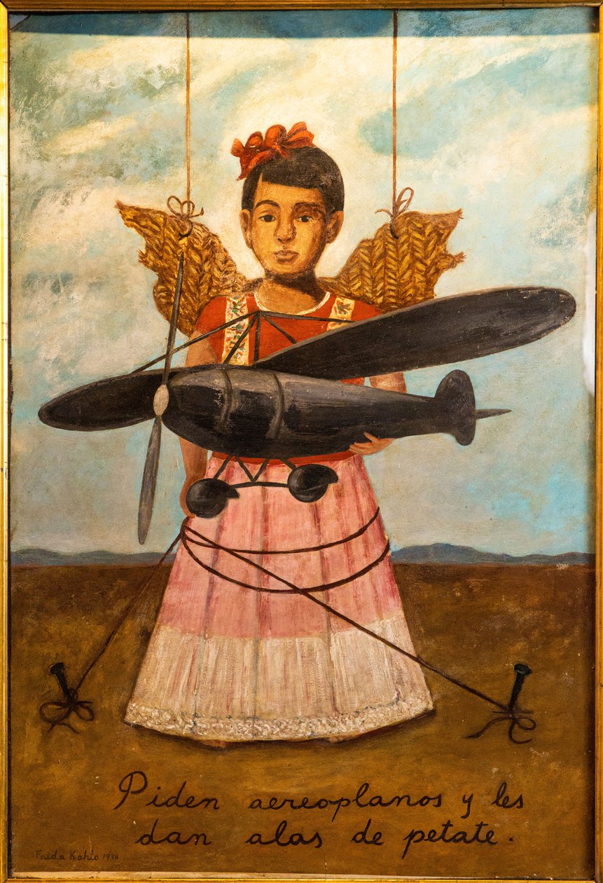 Pedem aviões e dão-lhes asas feitas de palha de Frida Kahlo