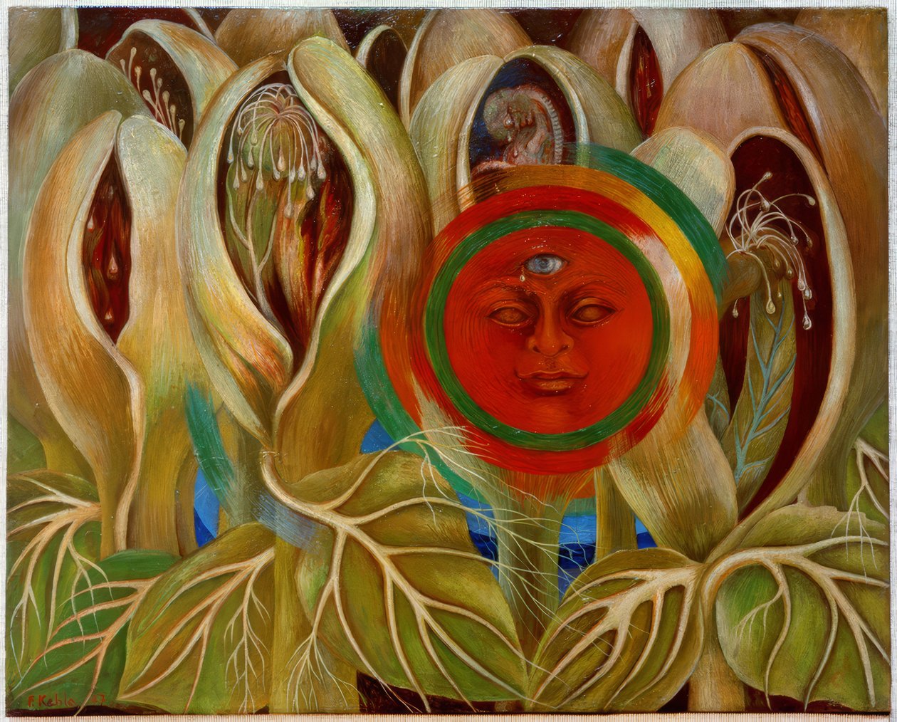 O sol e a vida de Frida Kahlo