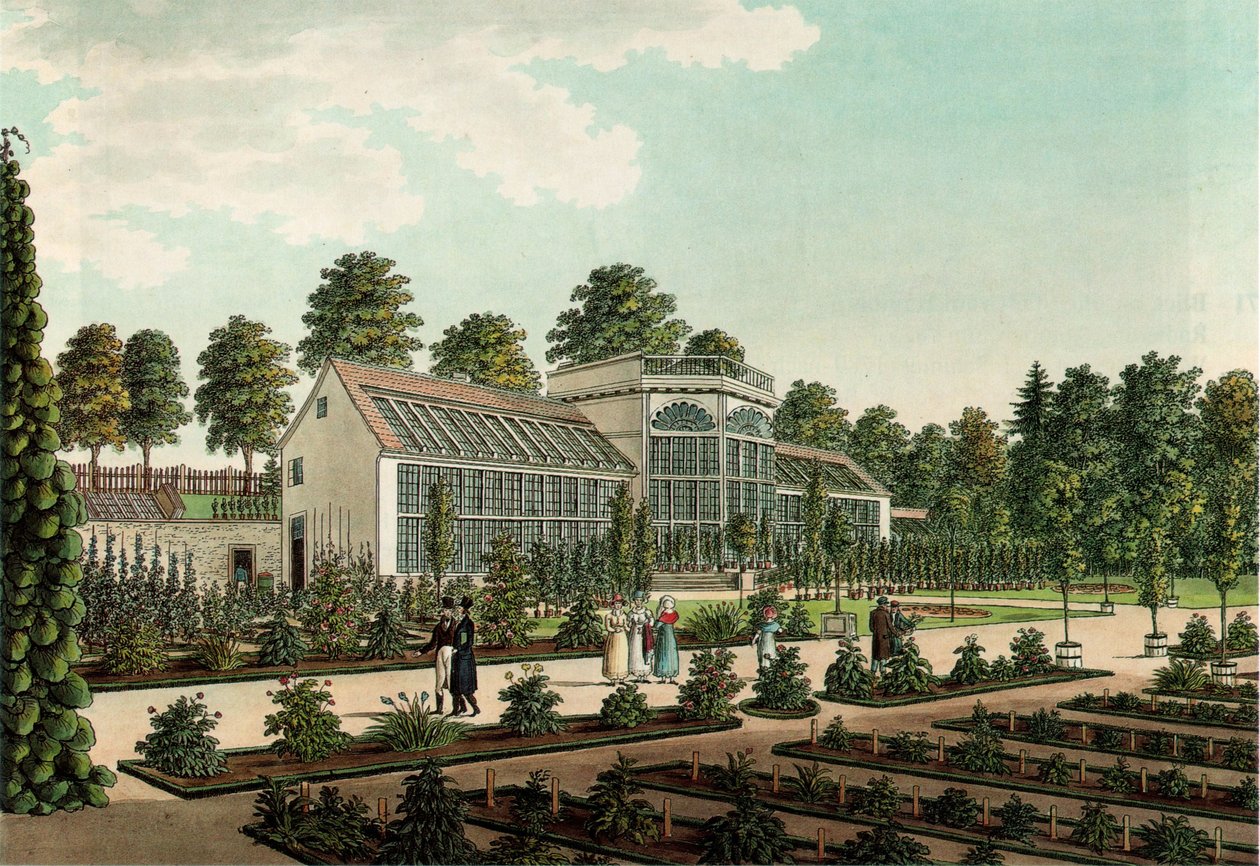 Estufa no jardim botânico velho em Goettingen, no fundo a parede da cidade. Gravura colorida de Friedrich Besemann