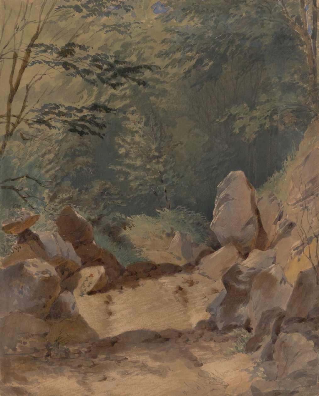Cenário de floresta com pedras de Friedrich Carl von Scheidlin