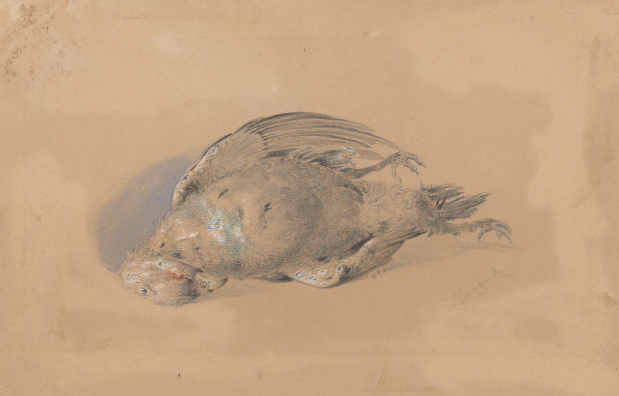 Dead Grouse de Friedrich Carl von Scheidlin