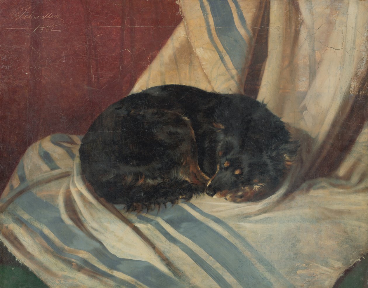Estudo de um cão deitado de Friedrich Carl von Scheidlin