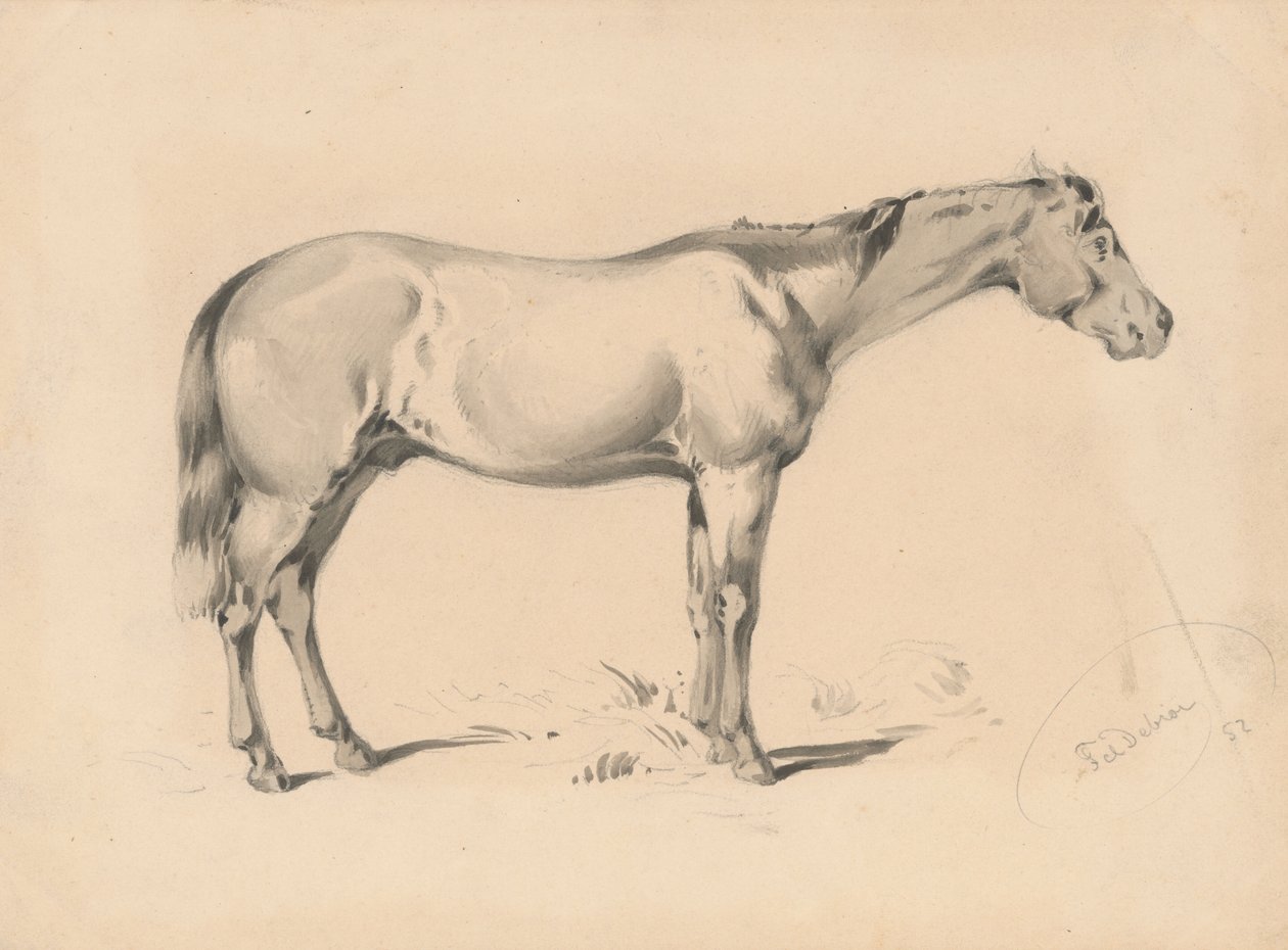 Estudo de um cavalo eu de Friedrich Carl von Scheidlin