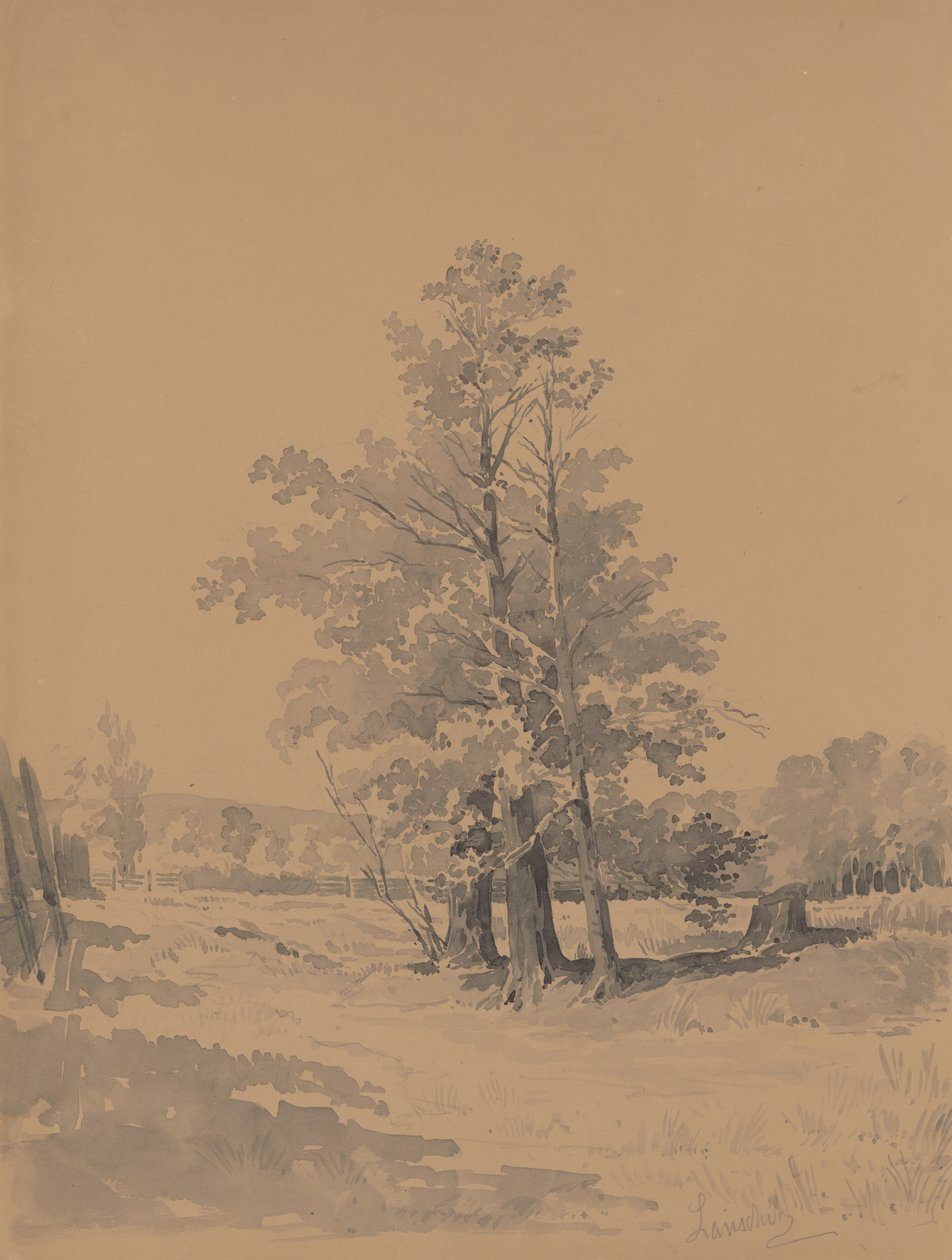 Árvores na borda da floresta de Friedrich Carl von Scheidlin