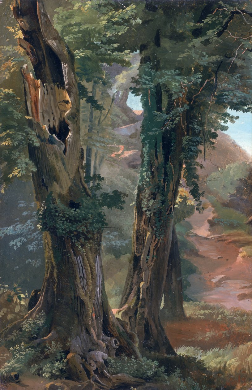 Old Elms, c.1835 (óleo sobre papel a bordo) de Friedrich Nerly