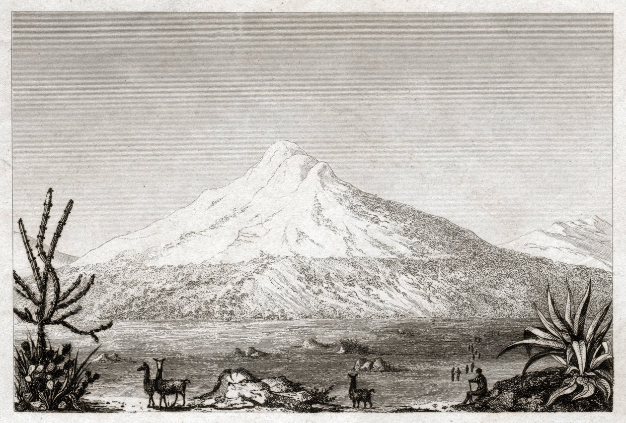 O vulcão Chimborazo. (gravura, ca. 1840) de Friedrich Alexander Baron von (after) Humboldt