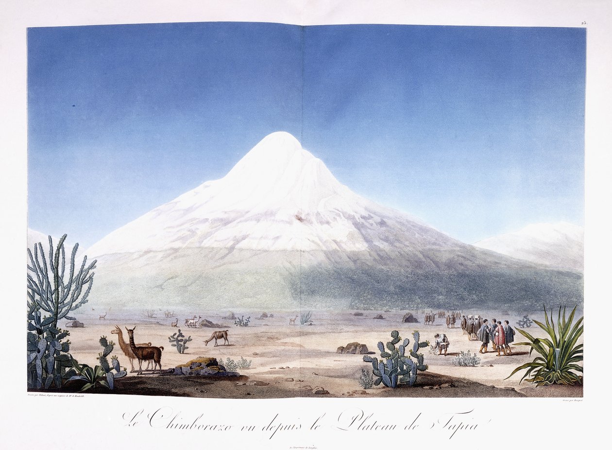 Chimborazo visto do planalto de Tapia de Friedrich Alexander Baron von (after) Humboldt