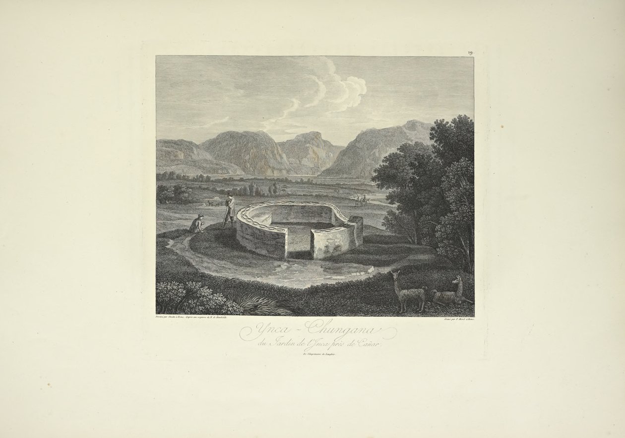 Ynca-Chungana, do Jardim do Inca perto de Canar, desenhado por Gmelin, gravado por Morel, ilustração de 
