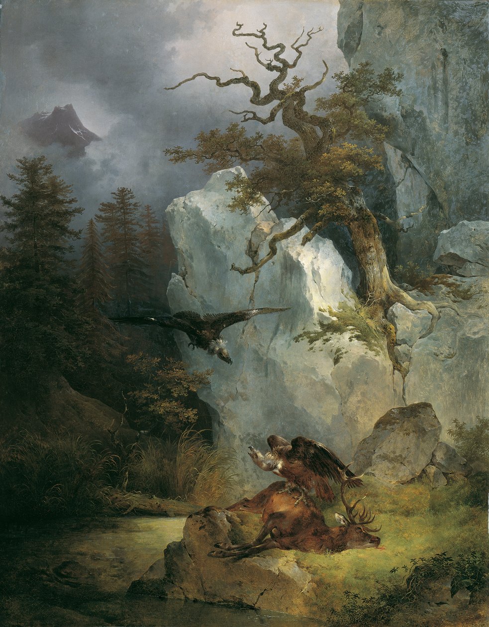 Um abutre sobre um veado morto de Friedrich August Mathias Gauermann