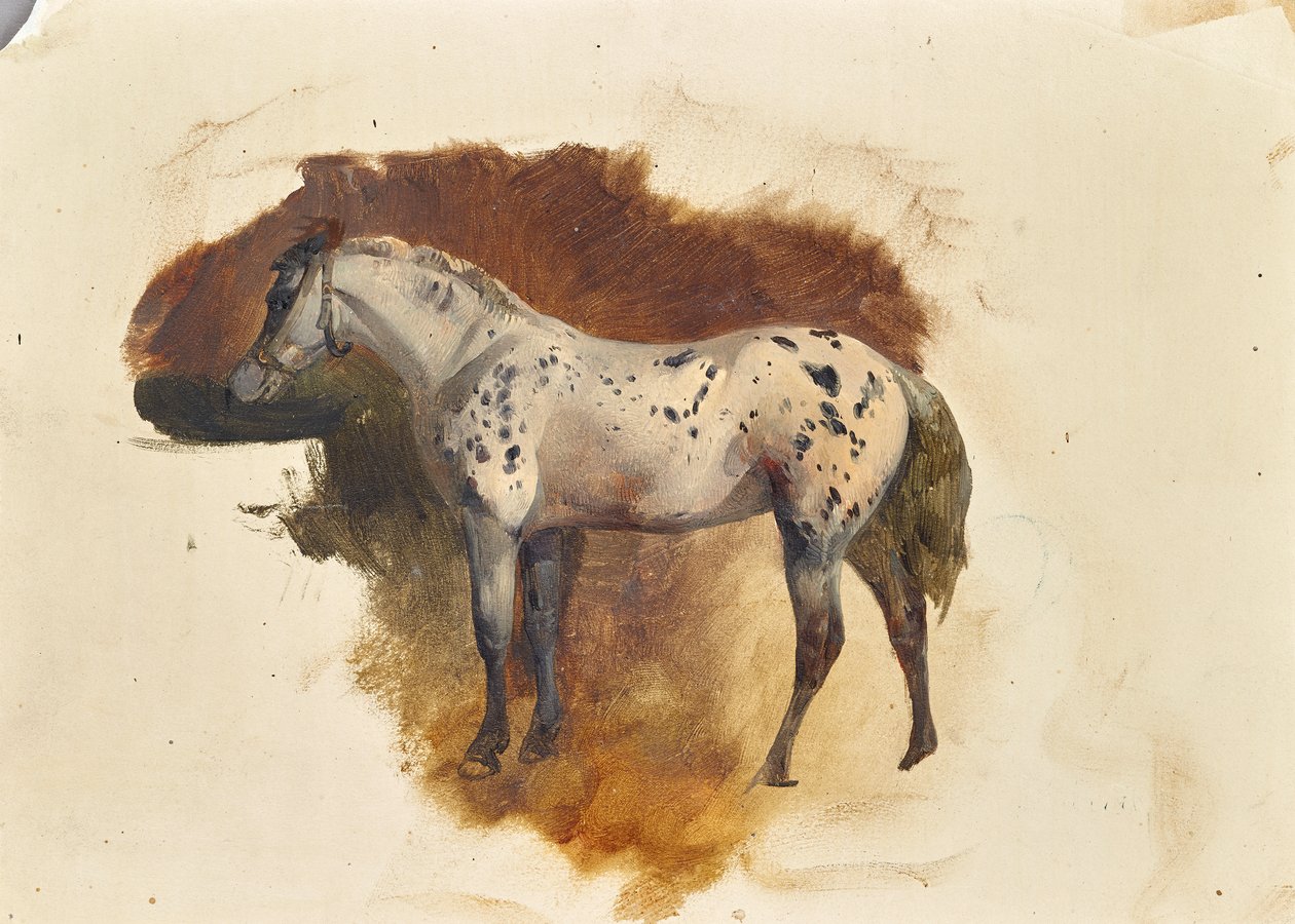 Bolor manchado de Friedrich August Mathias Gauermann