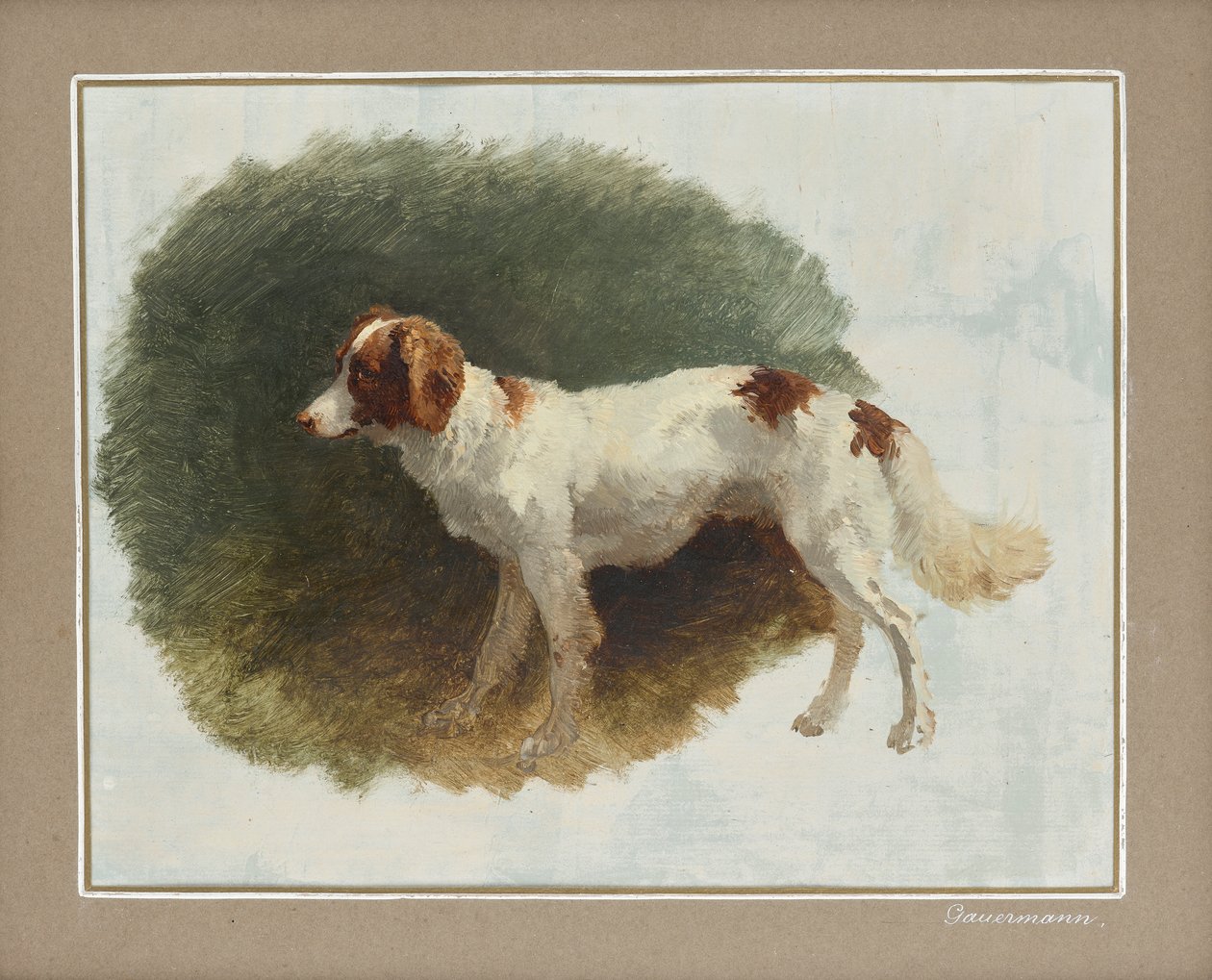 raiz de Friedrich August Mathias Gauermann