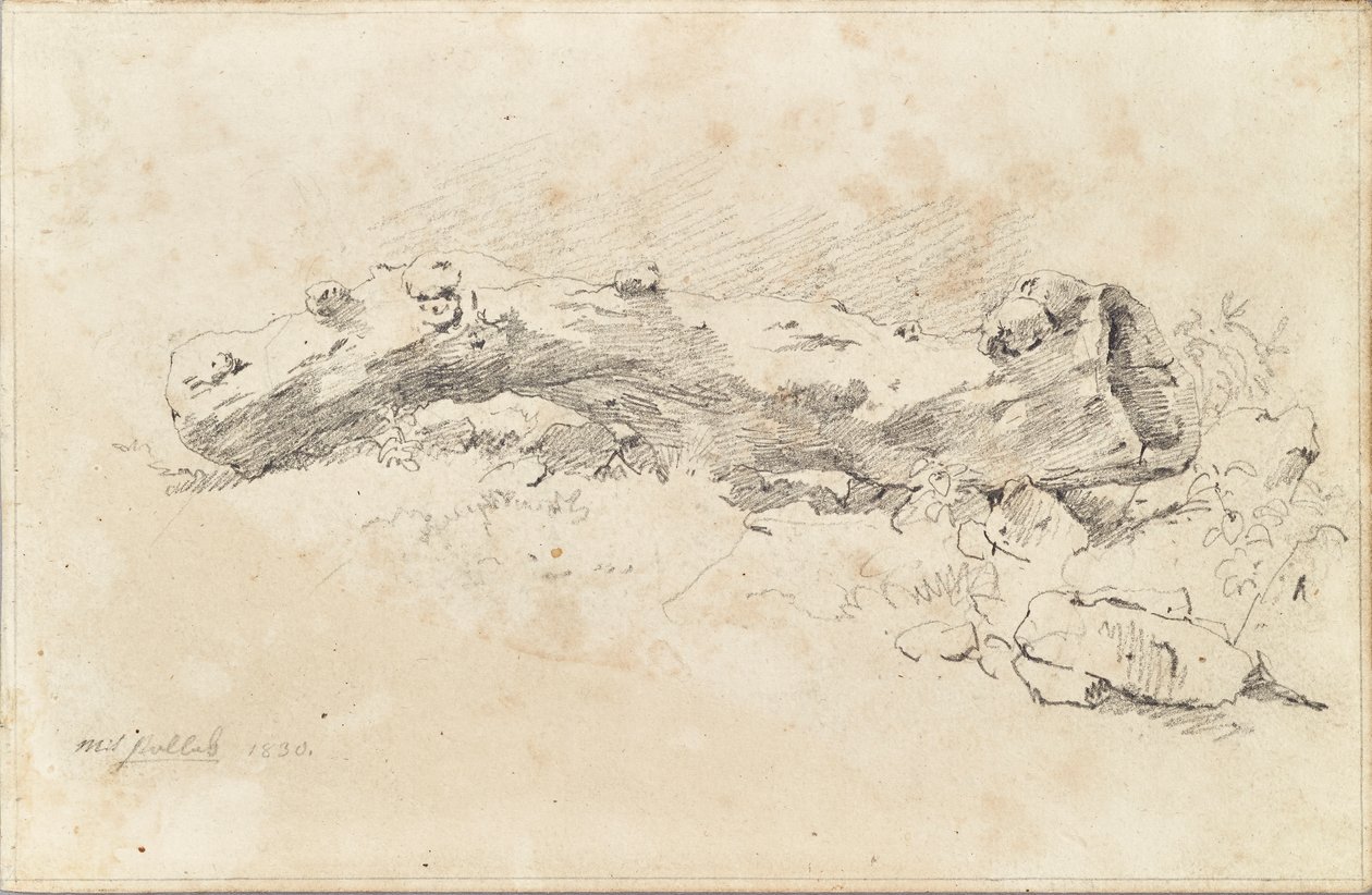 Tronco de árvore oco deitado de Friedrich August Mathias Gauermann