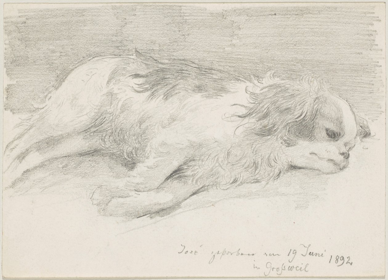 Estudos caninos de Friedrich August von Kaulbach