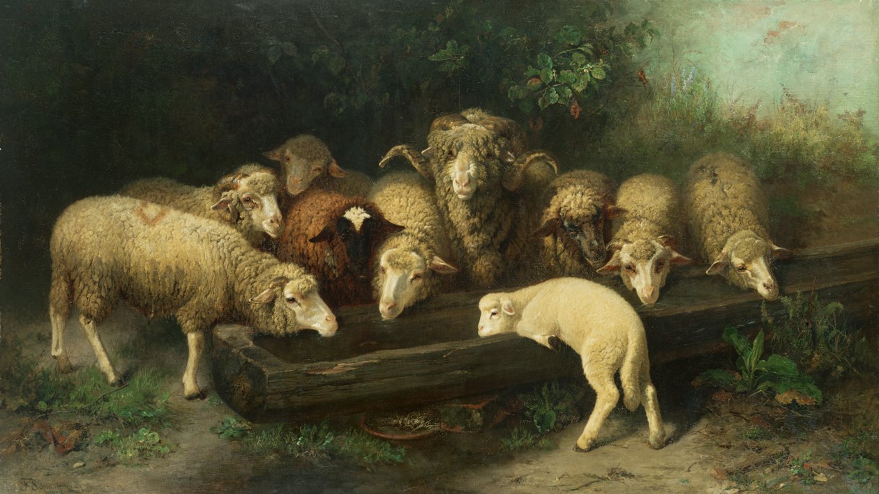 O cocho de ovelhas, século XIX de Friedrich Ferdinand Schmalzigaug