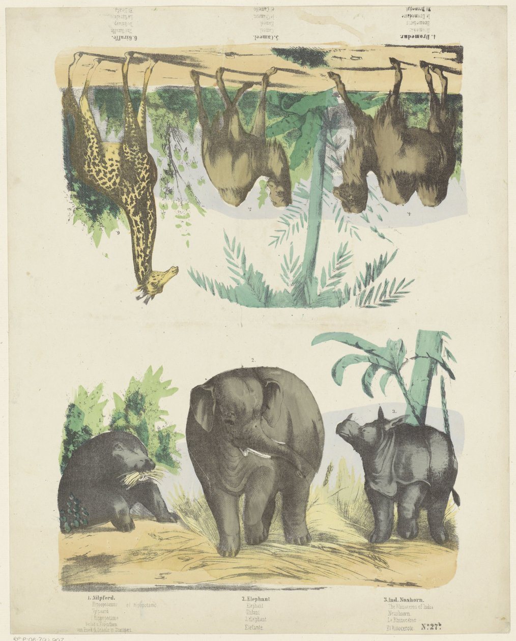 Animais selvagens de Friedrich Gustav Schulz