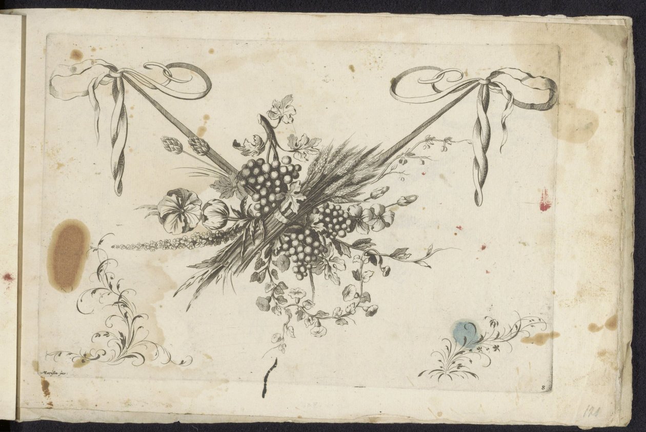Festoen van bloemen, druiventros en korenaren
Diferentes novos festões de flores e frutos (título da série) de Friedrich Jacob Morisson
