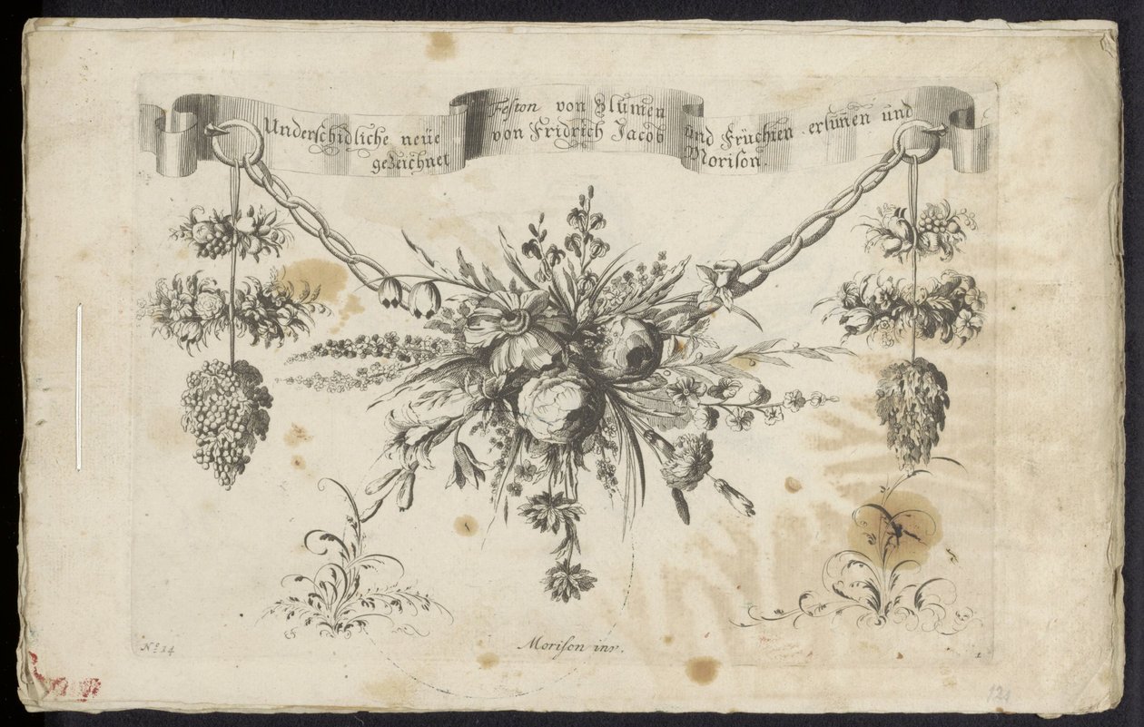 Diferente novo festão de flores e frutas de Friedrich Jacob Morisson