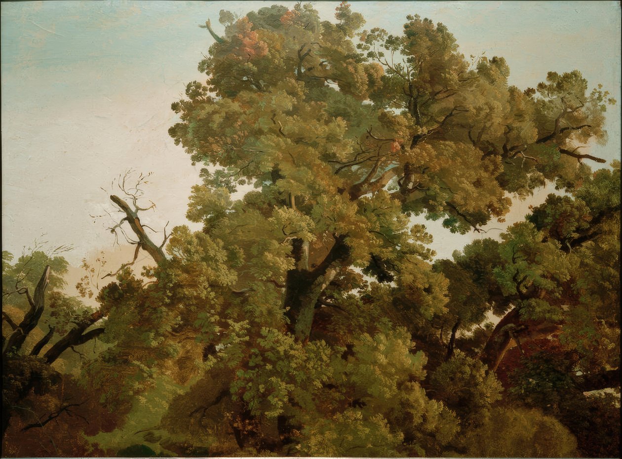 Carvalho de Friedrich Nerly