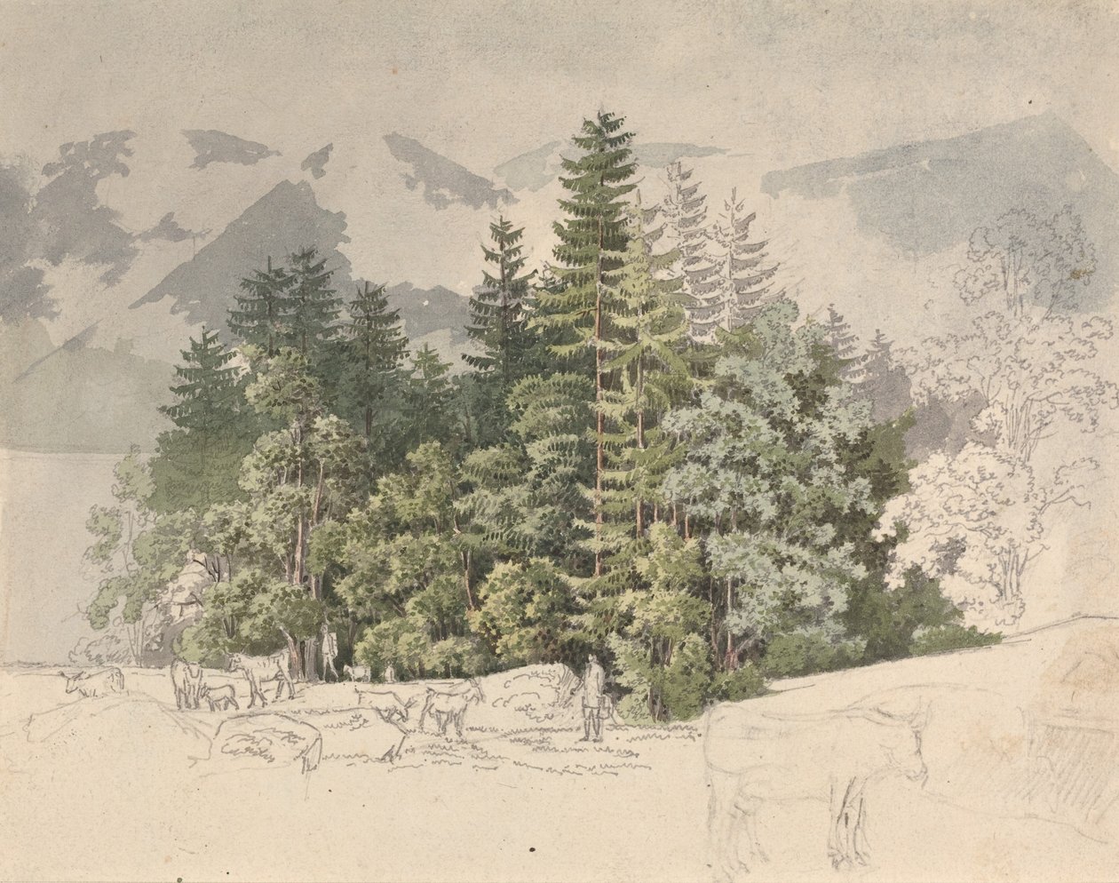 Paisagem alpina (guache sobre grafite) de Friedrich Salathe