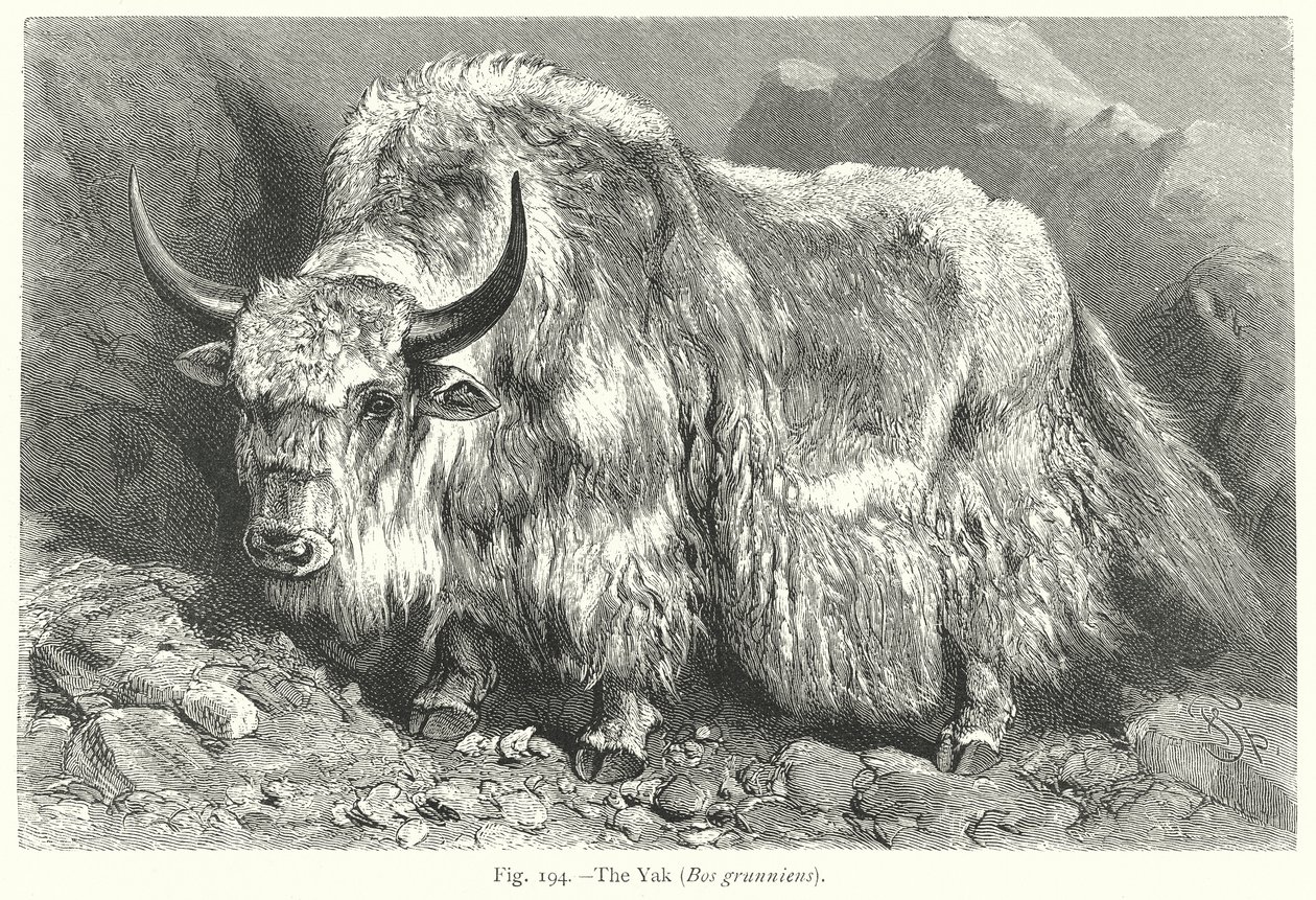 de Friedrich Specht