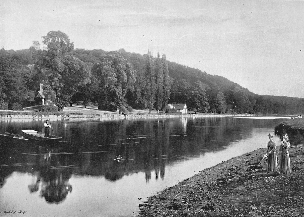 Cliefden Woods, c1896 de Frith and Co