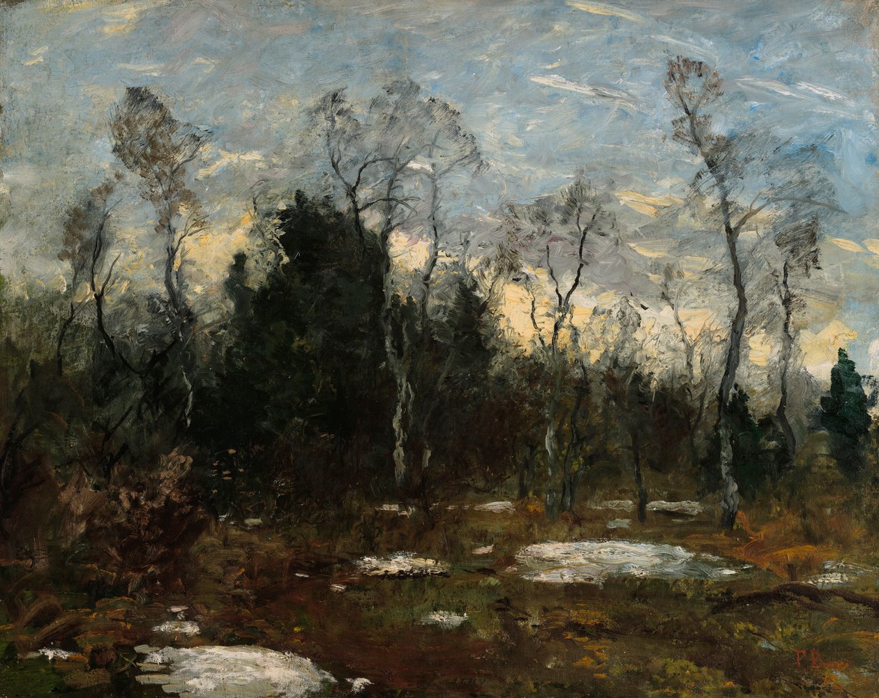 Atmosfera nocturna de Fritz Baer