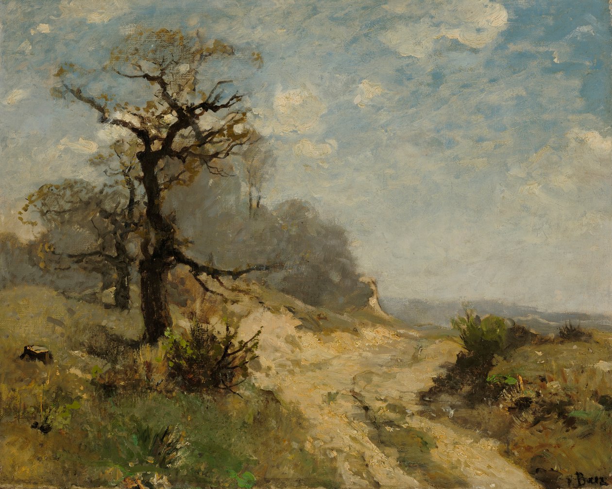 Paisagem com caminho de Fritz Baer