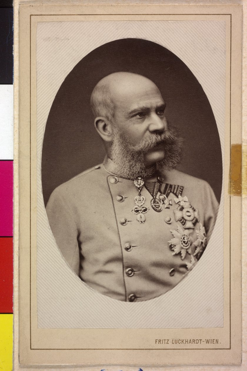 Francisco José I de Fritz Luckhardt