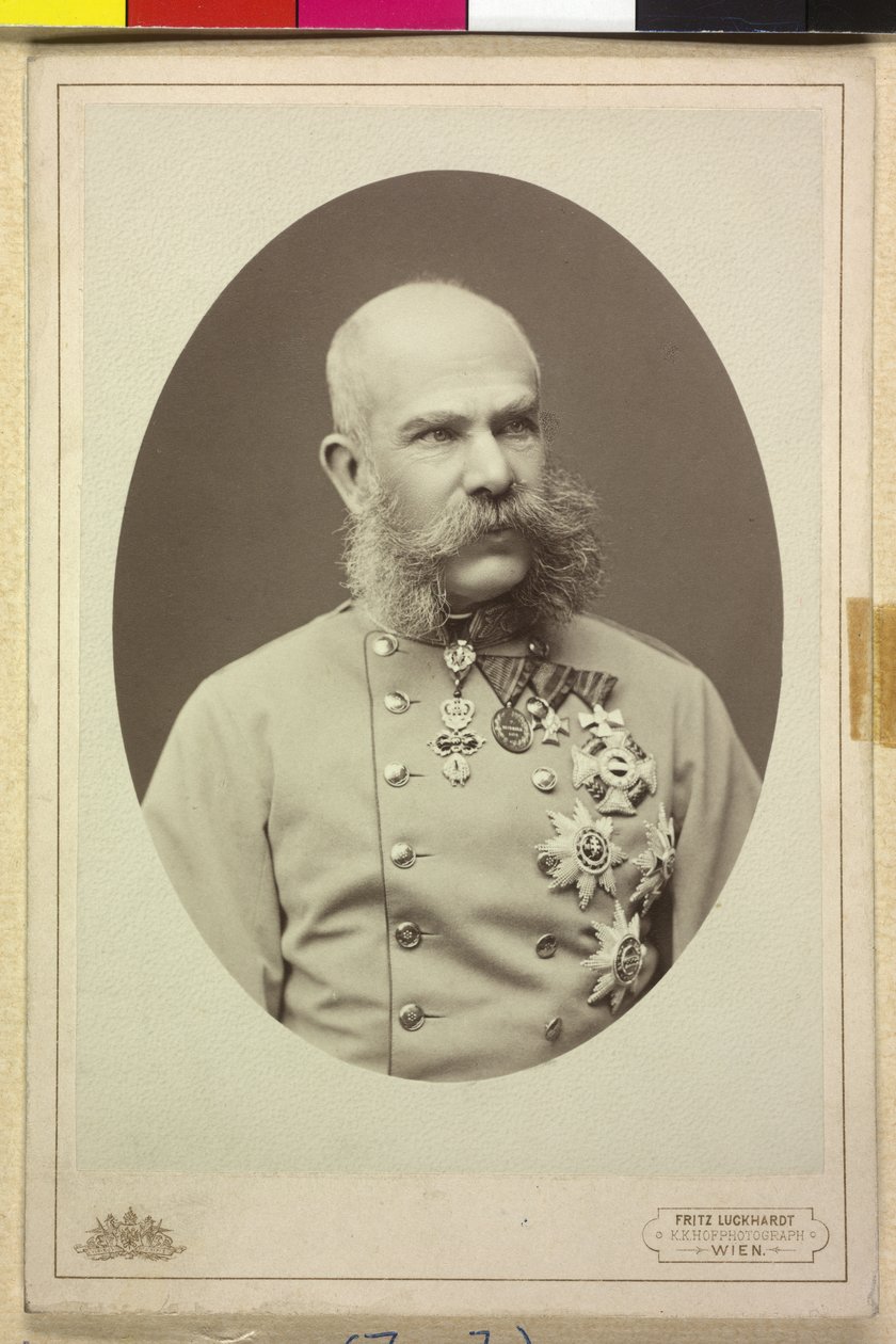 Francisco José I de Fritz Luckhardt