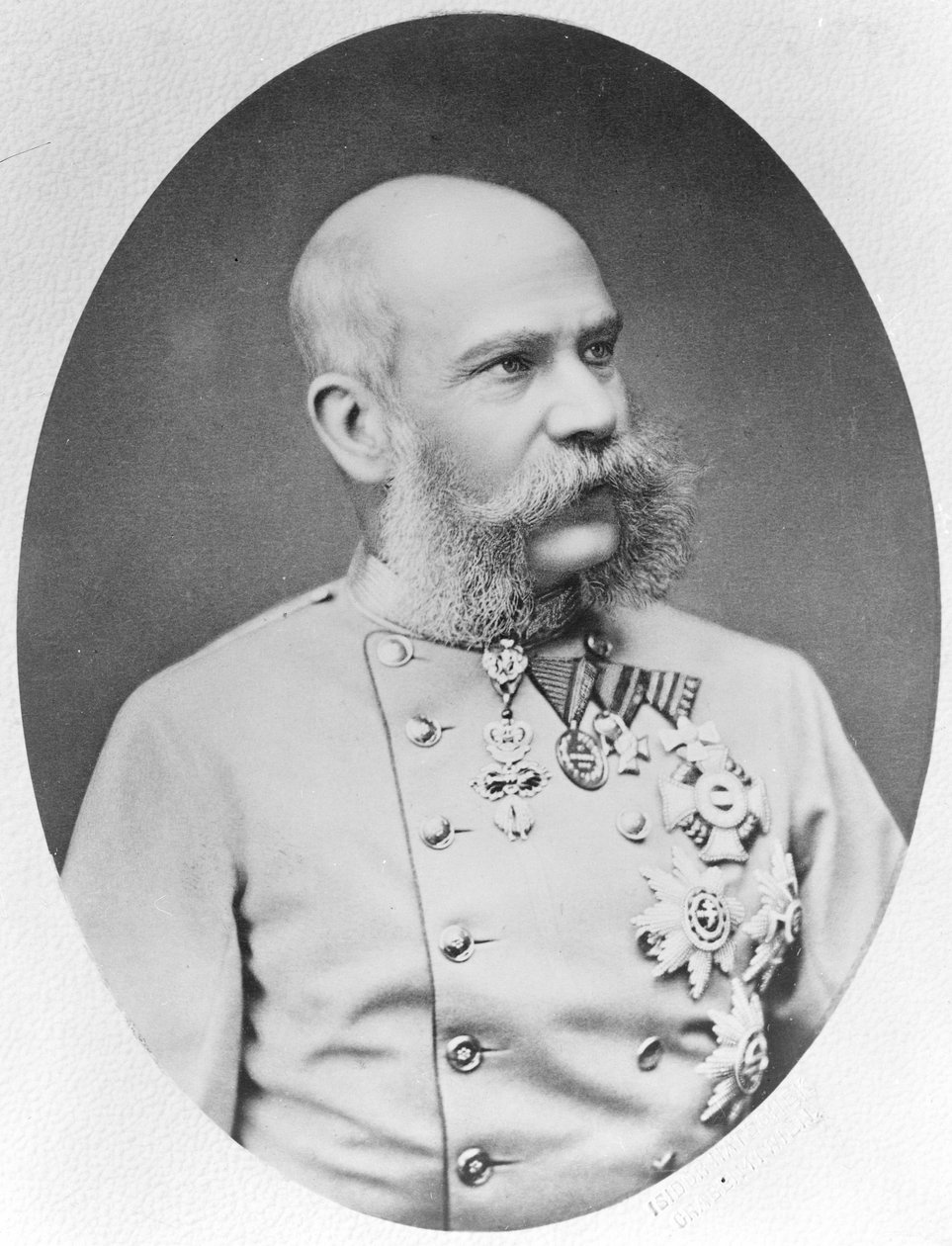 Francisco José I de Fritz Luckhardt