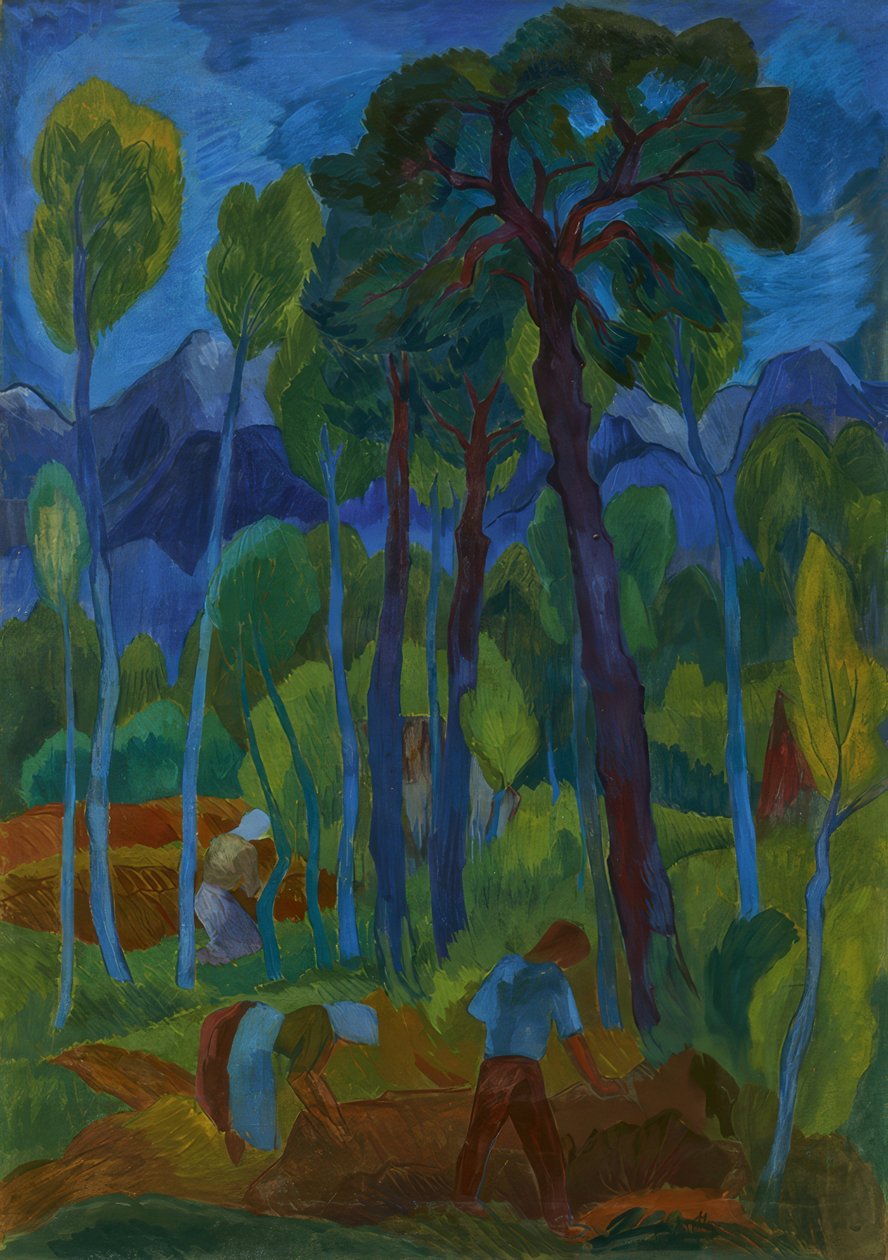 Moorlandschaft de Fritz Schaefler