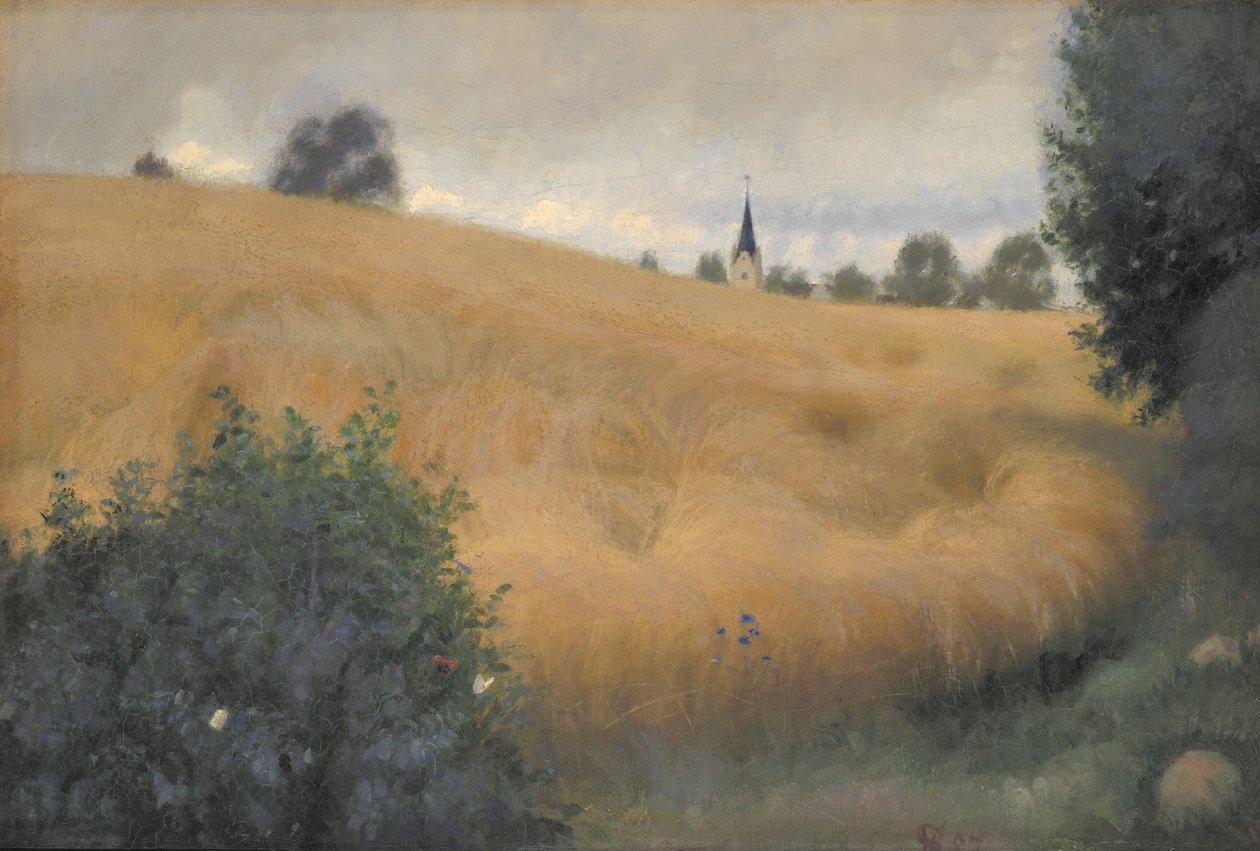 Um campo de centeio perto de Svanninge de Fritz Syberg