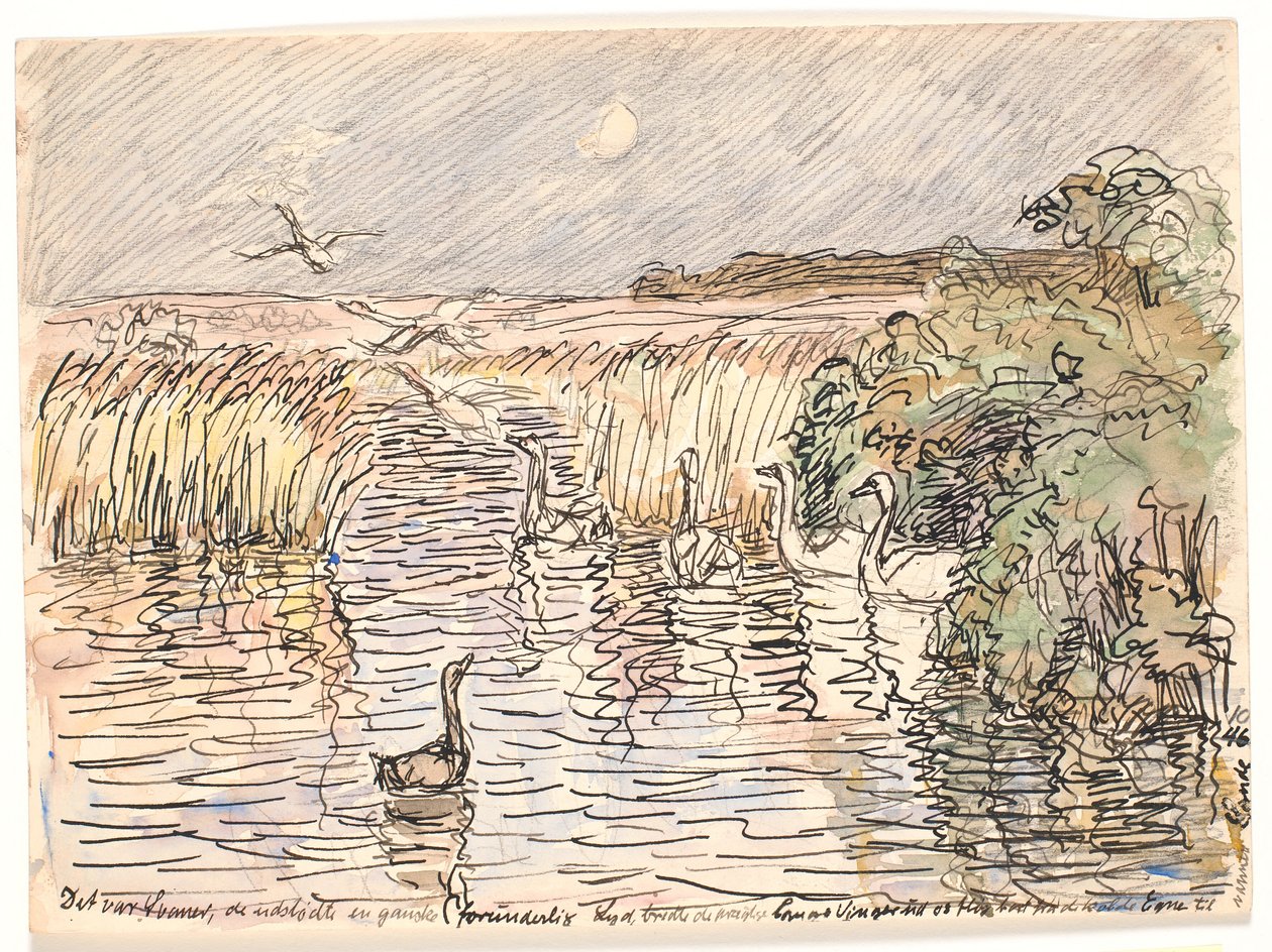 Era Cisnes... de Fritz Syberg