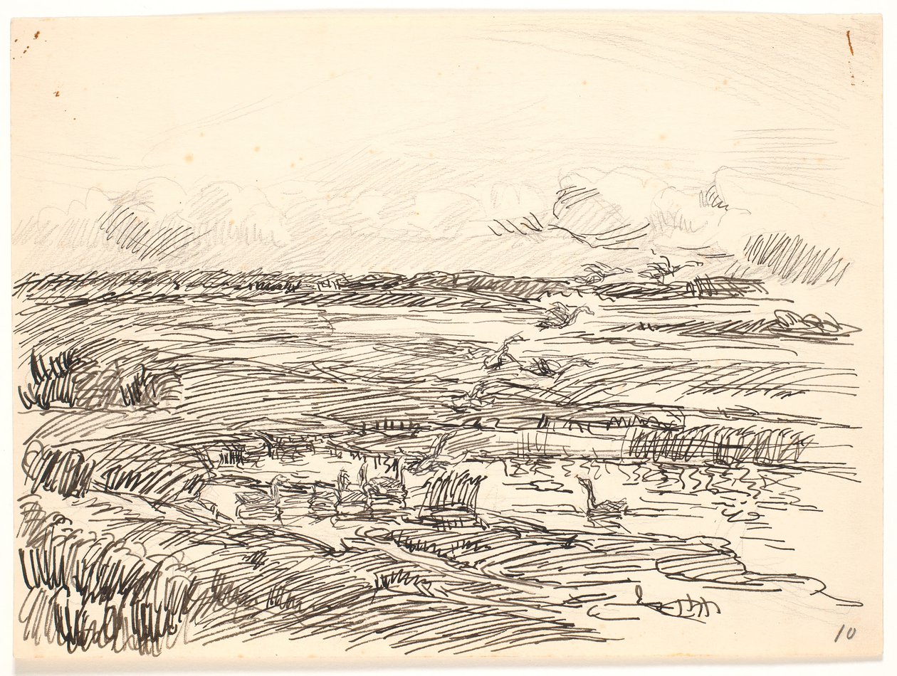 Paisagem coberta de musgo de Fritz Syberg