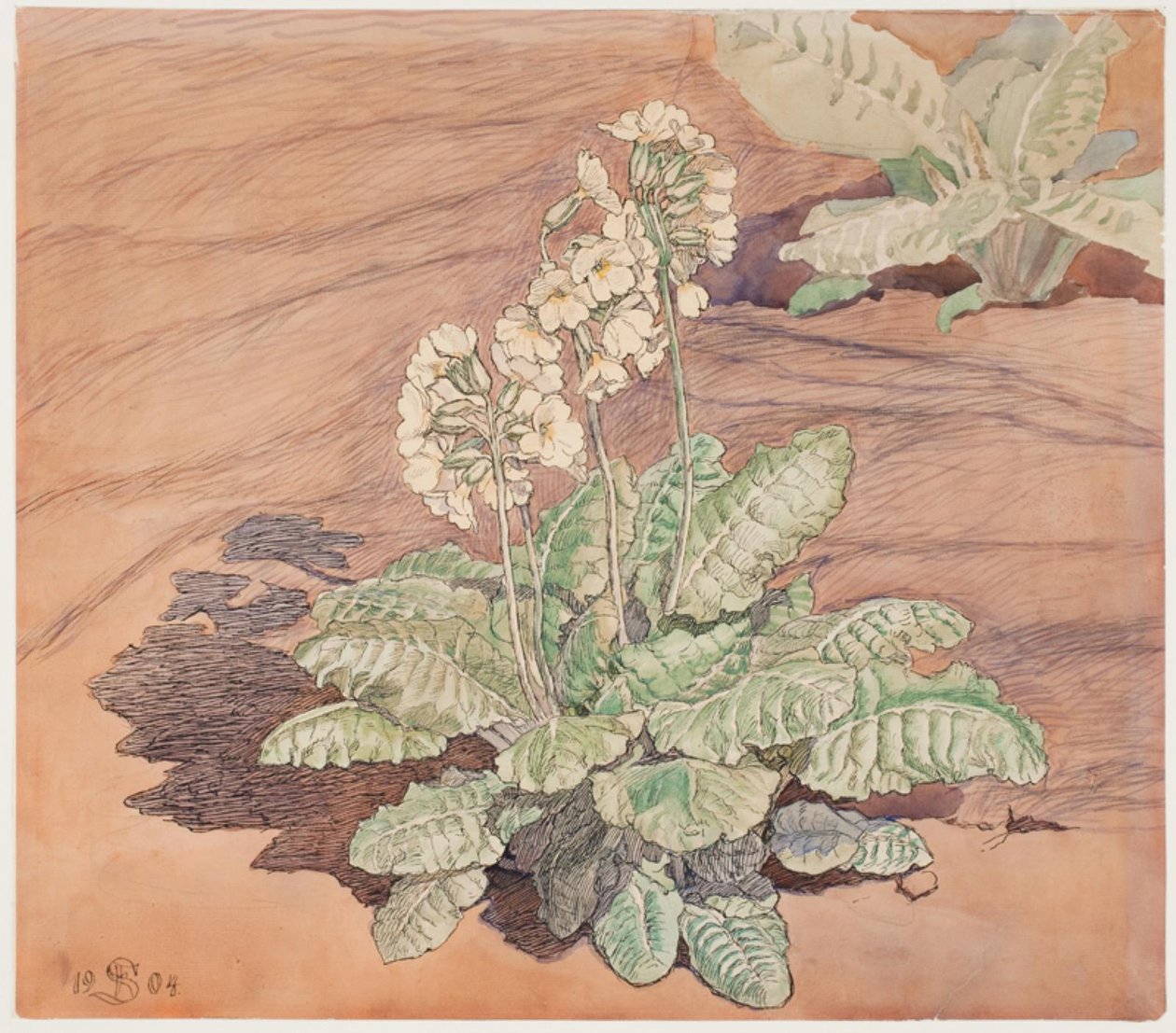 Cultivo de feijão-fradinho ao sol de Fritz Syberg