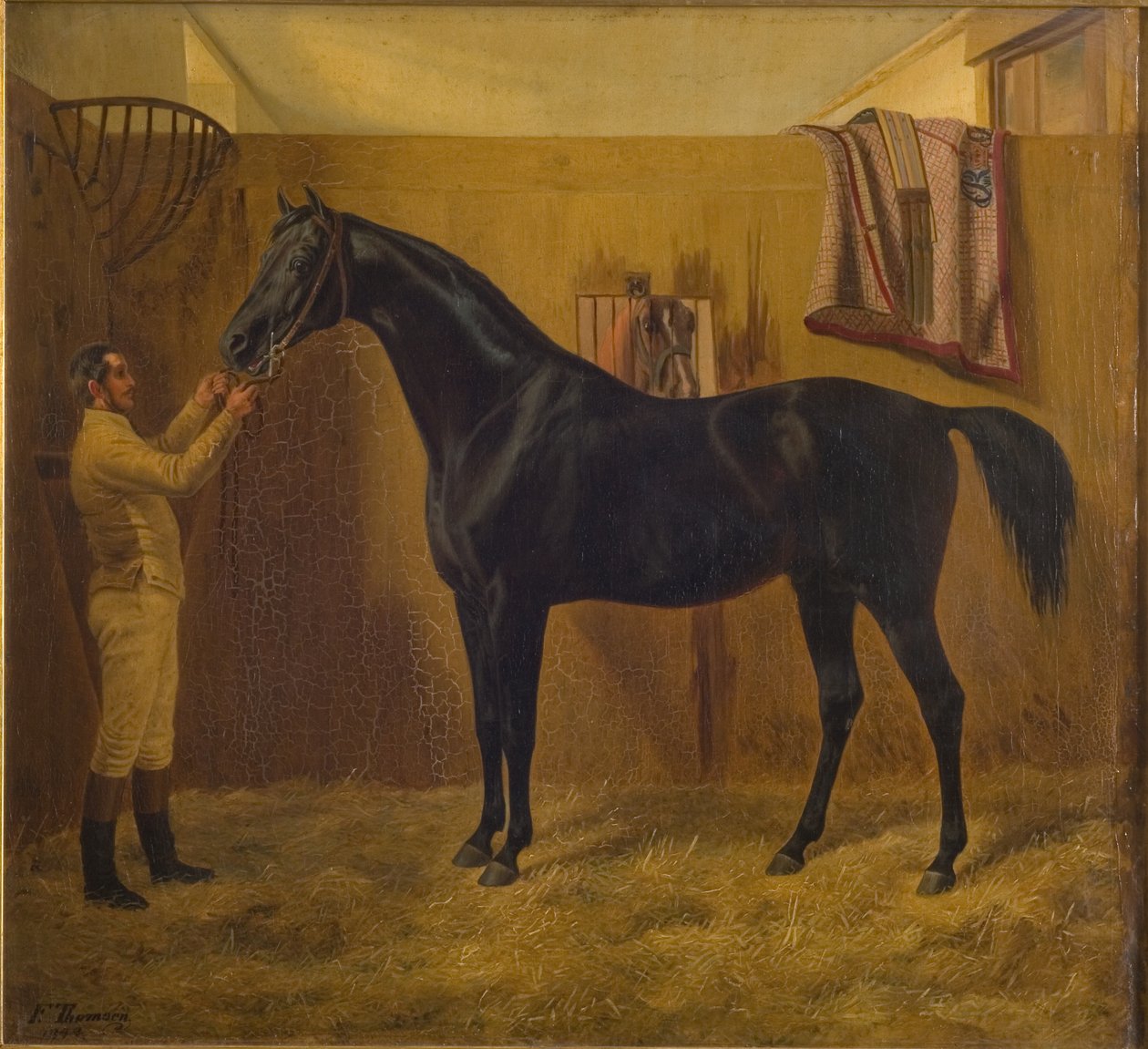 Cometa Negro de Fritz Thomsen
