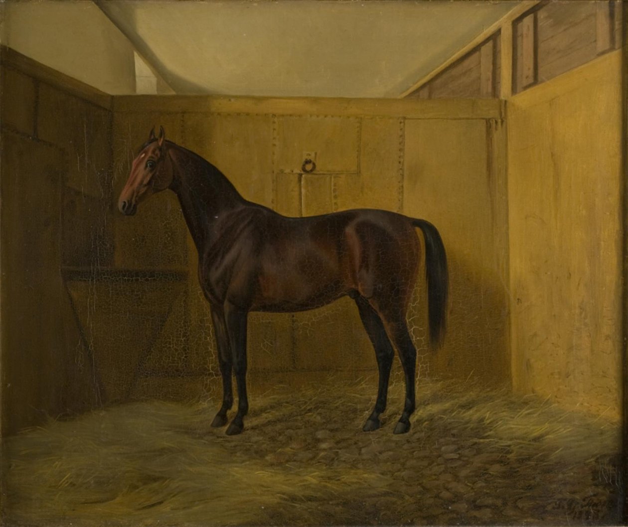 Bruna de Fritz Thomsen