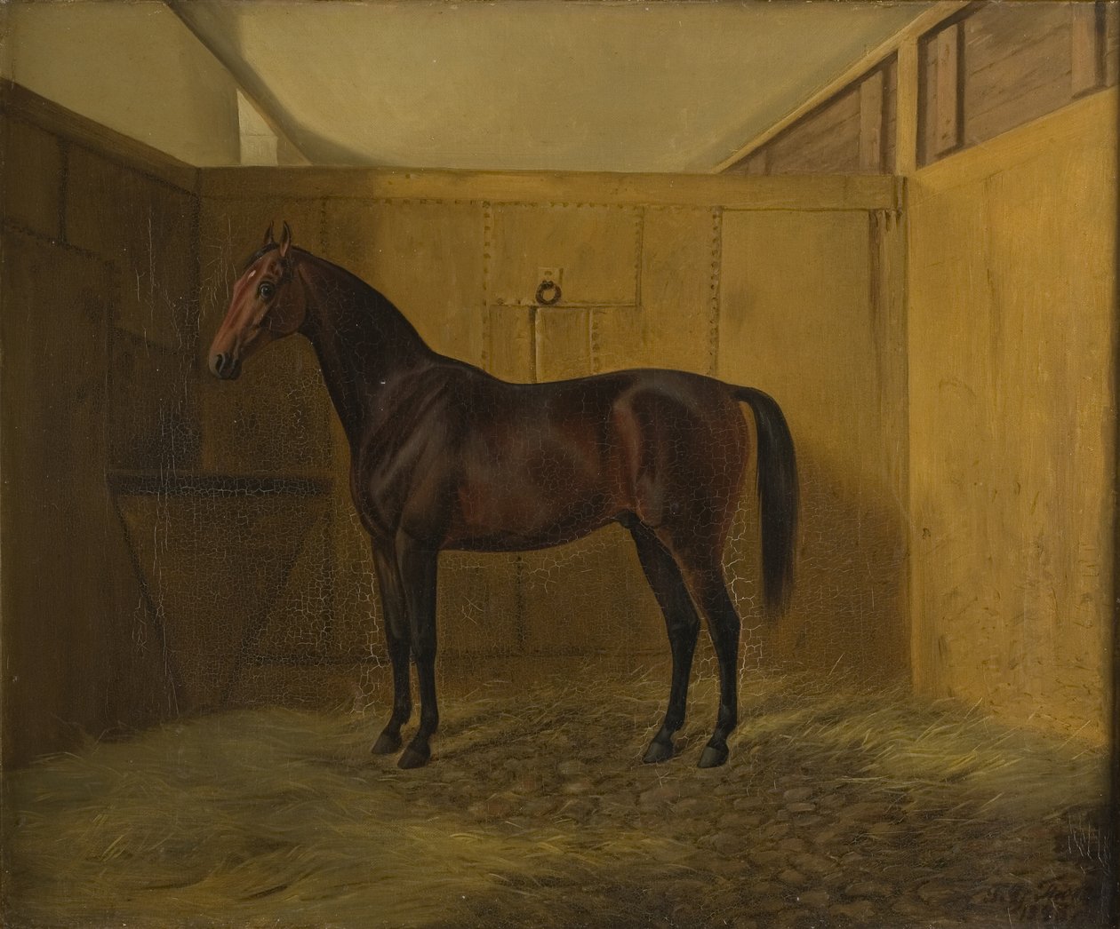 Hersilia de Fritz Thomsen