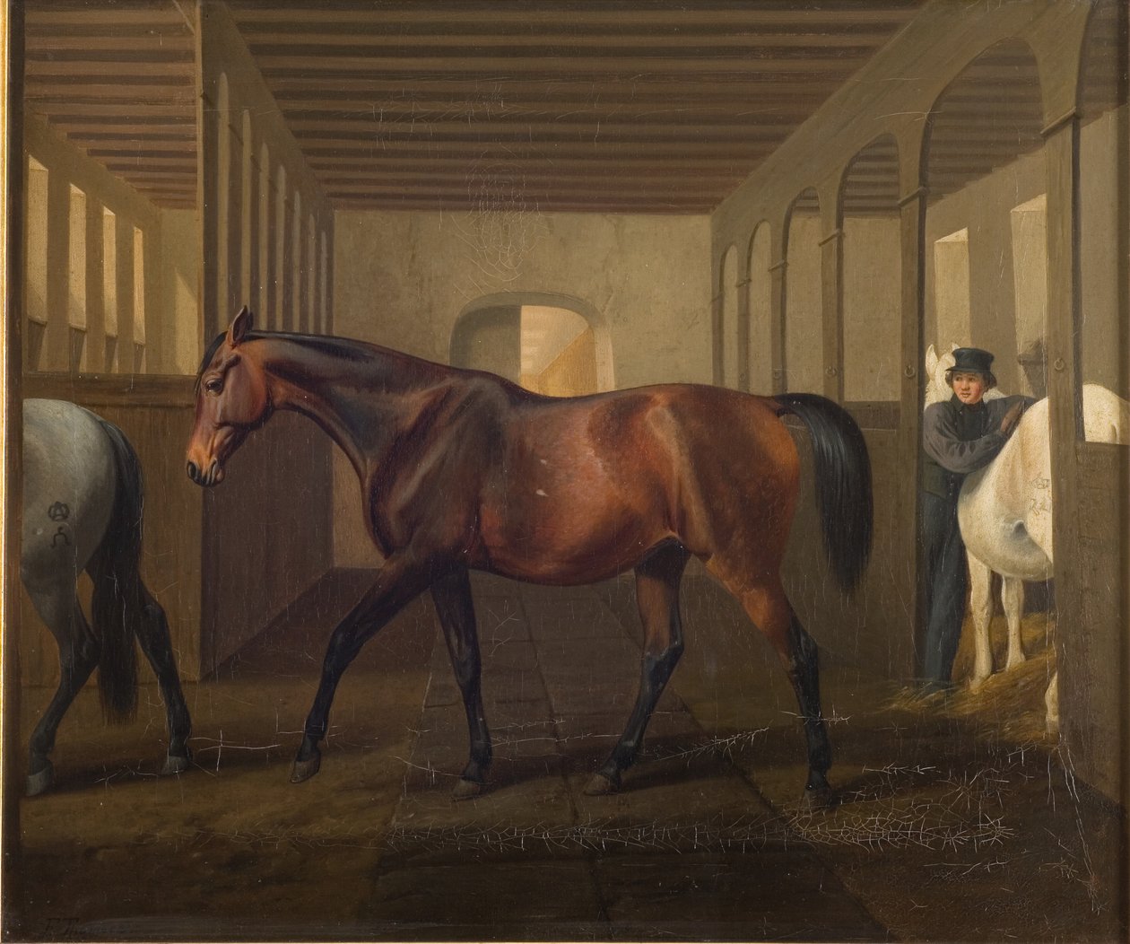 Roseta de Fritz Thomsen
