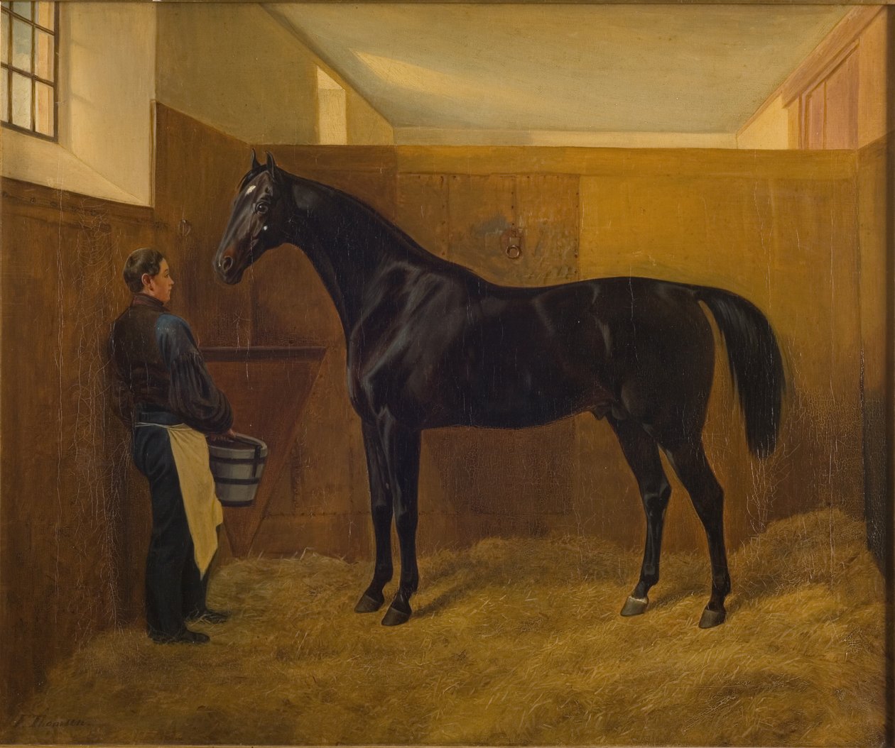 Pernas de Fritz Thomsen