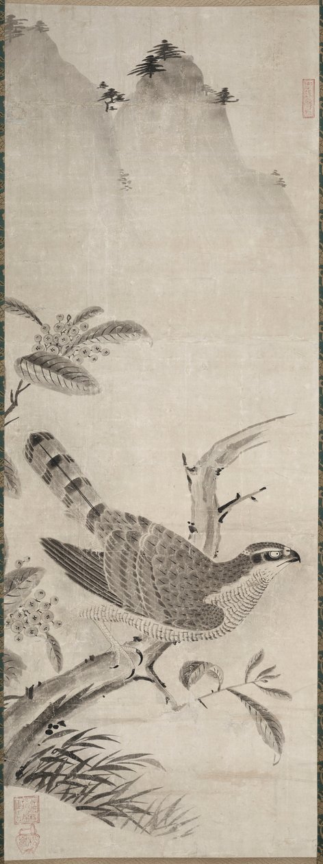 Falcão de Fujiwara Masayoshi
