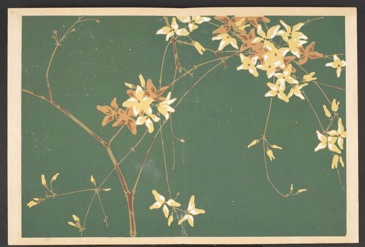 Shasei sôka môyô, Padrões de plantas e flores da vida de Furuya Korin