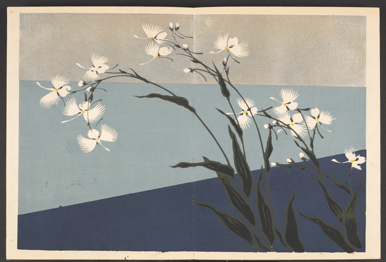 Shasei sôka môyô, Padrões de plantas e flores da vida de Furuya Korin