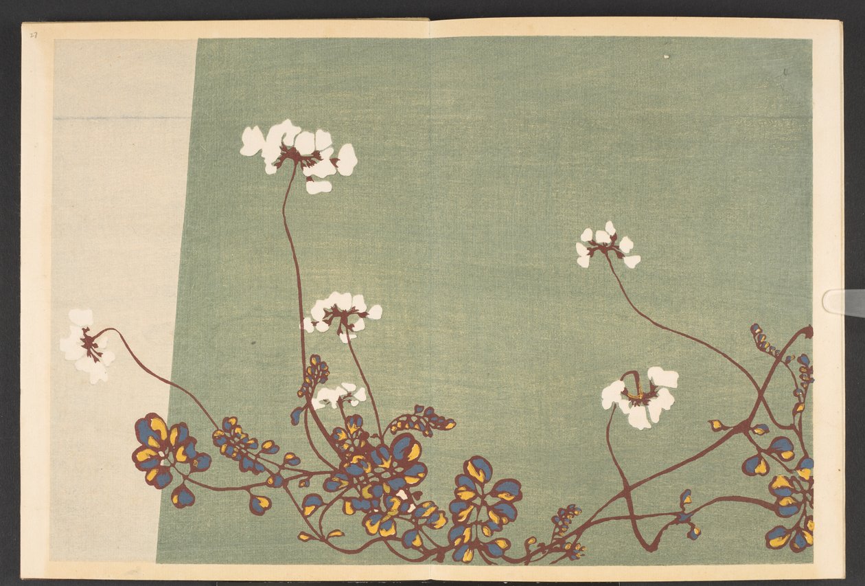 Shasei sôka môyô, padrões de plantas e flores da vida de Furuya Korin