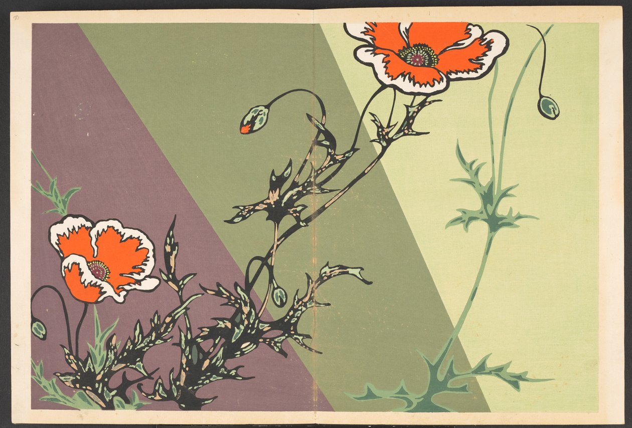 Shasei sôka môyô, Padrões de plantas e flores da vida de Furuya Korin