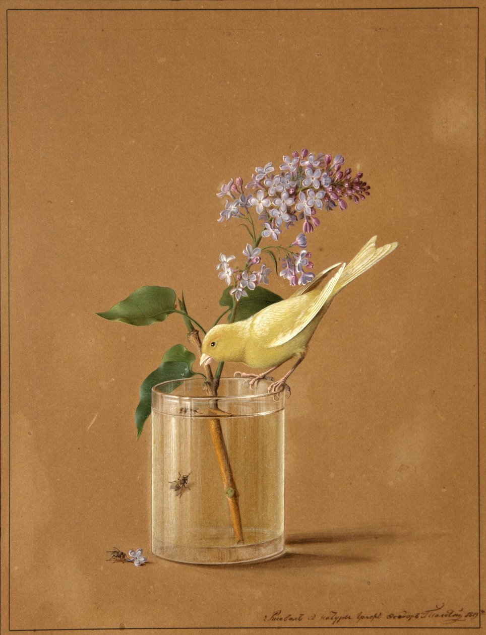 Canary Bird em um ramo lilás, 1819 de Fyodor Petrovich Tolstoy
