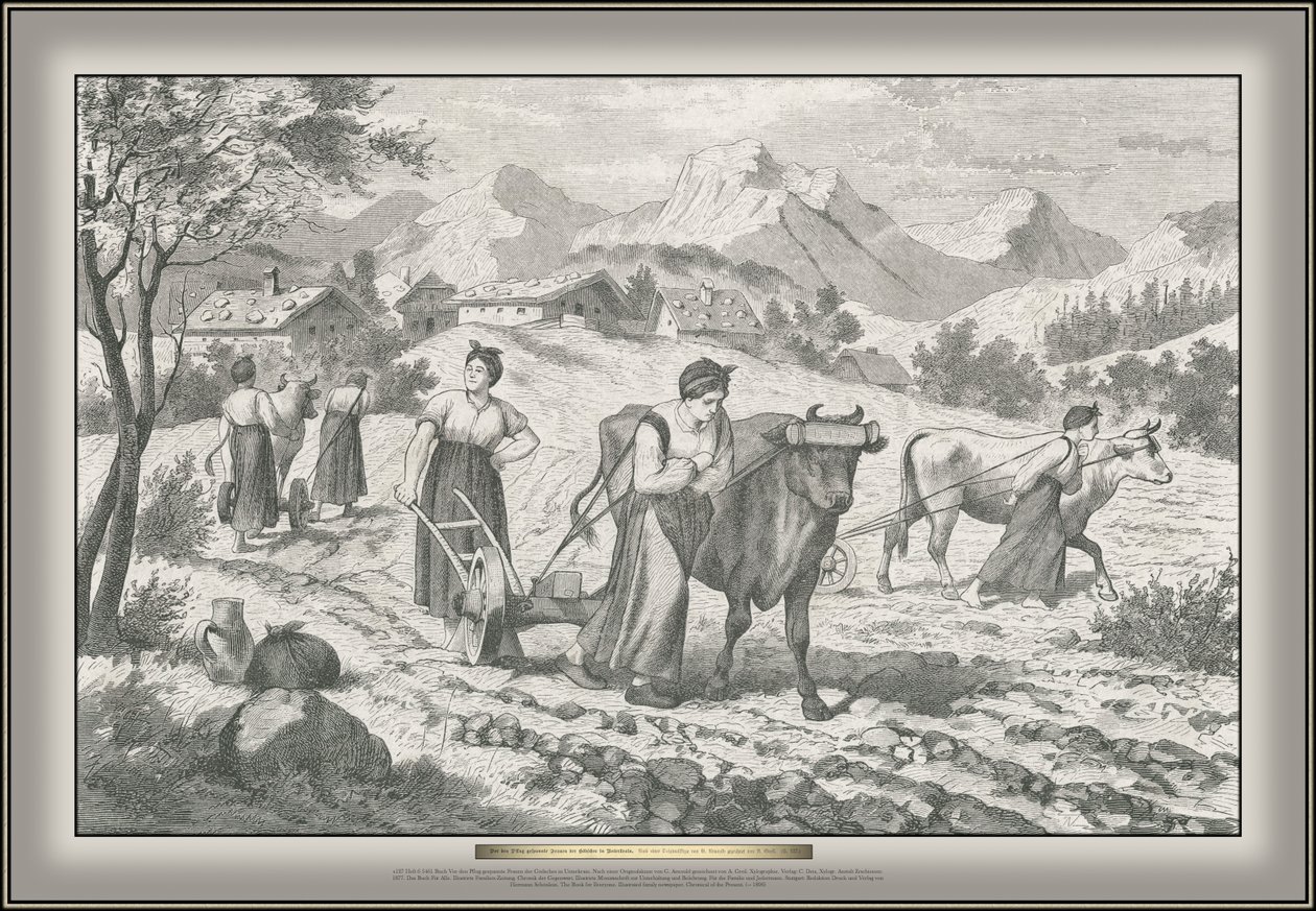 Livro Antes do arado esticar as mulheres Gödsches na Baixa Carniola de G. Arnould