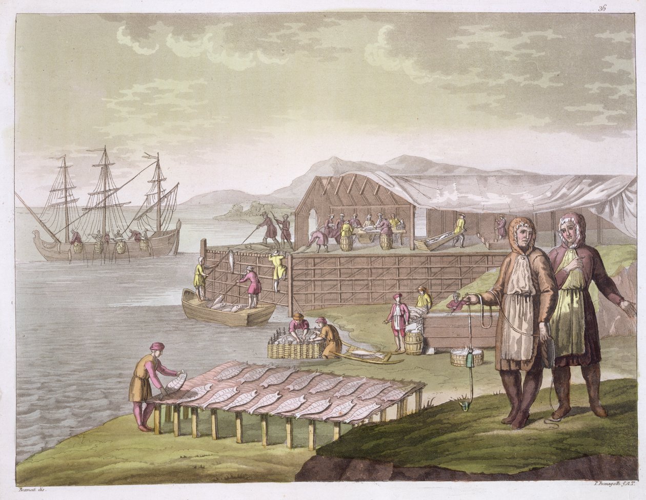 A indústria da pesca, Newfoundland, de &39;Le Costume Ancien et Moderne&39;, Volume II, placa 36, por Jules Ferrario, publicado c.1820s-30s de G. Bramati
