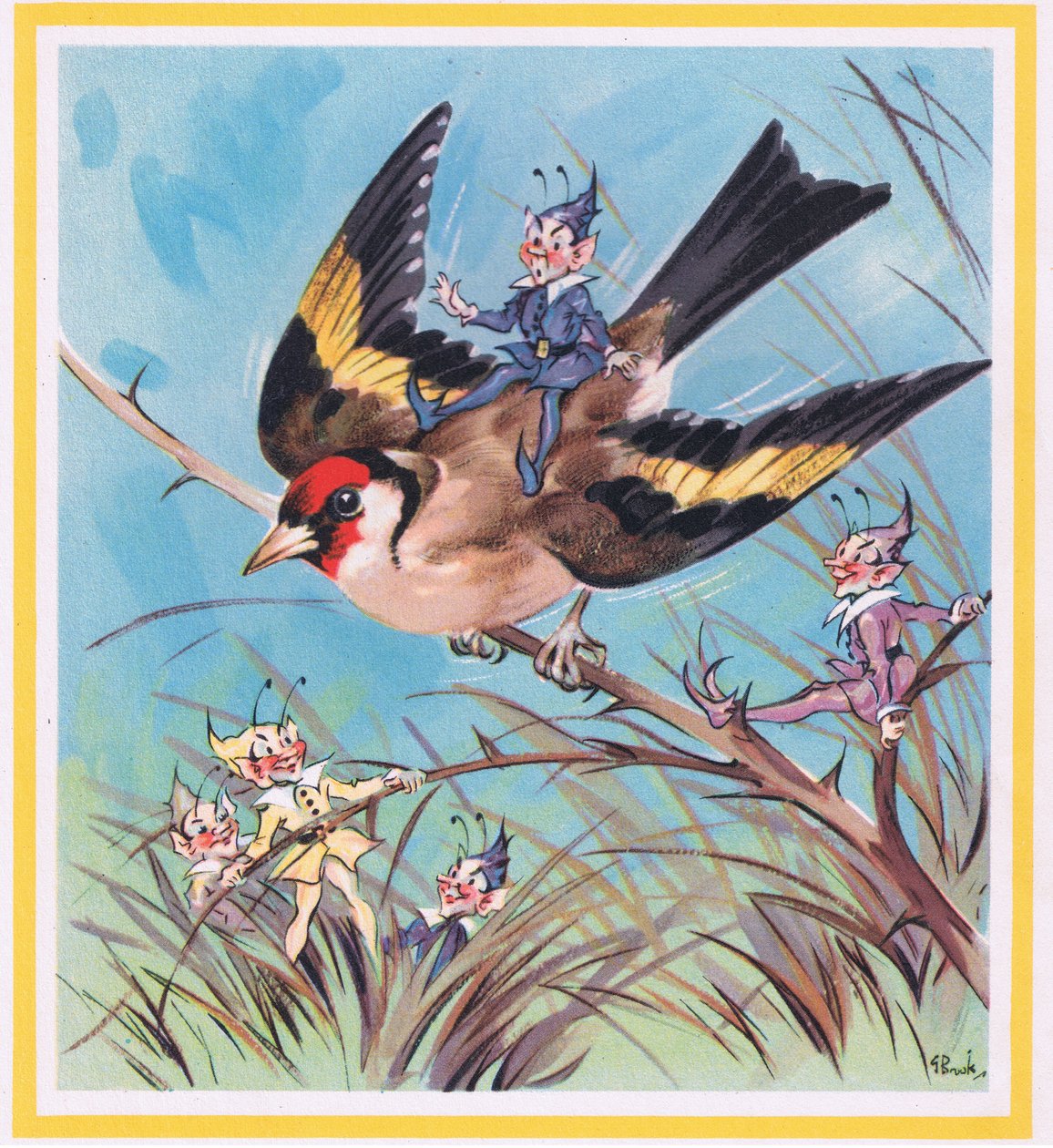 Pintassilgo de G. Brooks