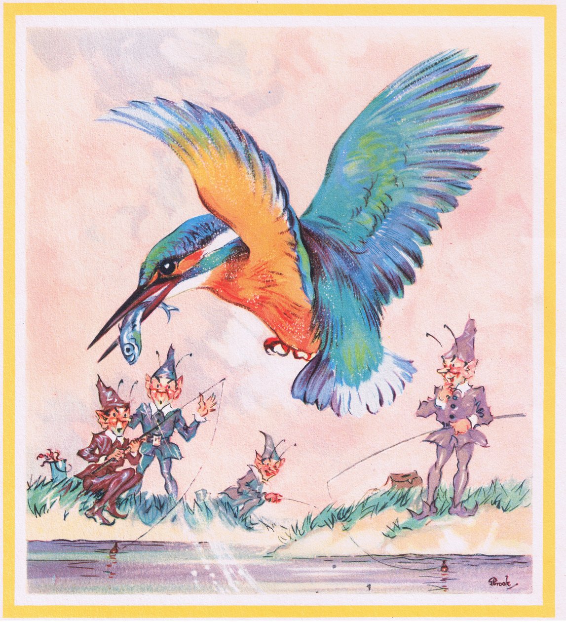 Martim-pescador de G. Brooks